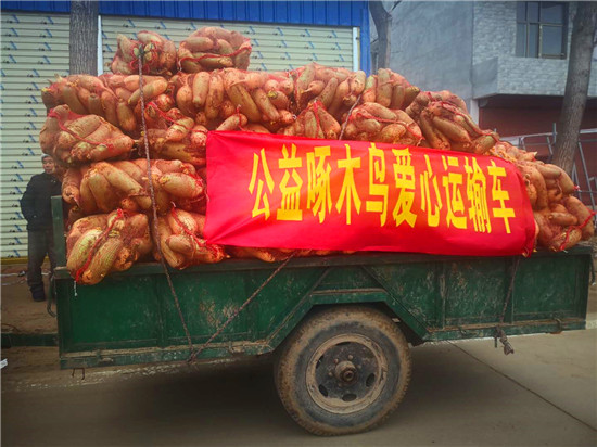 ＂愛(ài)心蘿卜＂來(lái)了！